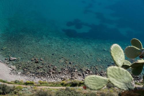 a view of the ocean with a cactus at B&B La Manica in Milazzo