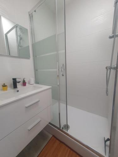 une salle de bain avec une douche, un lavabo et un miroir dans l'établissement Coquet studio au centre port du Cap d'Agde, au Cap d'Agde