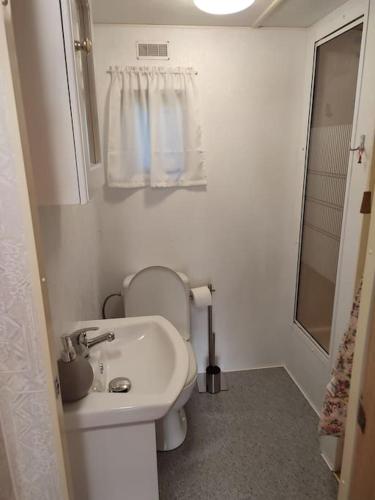 a small bathroom with a sink and a toilet at DOMEK NAD JEZIOREM in Żywki