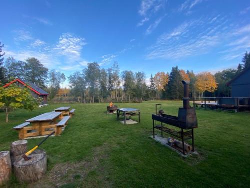 a group of picnic tables and a grill in a field at Paunu Talu - Majutus ja Kajakid in Kekra