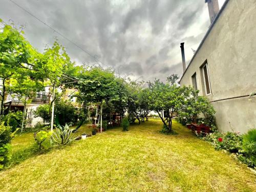 un patio con árboles y césped junto a un edificio en House of greenery, en Kutaisi