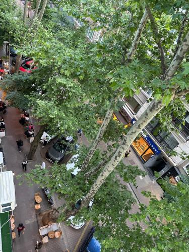 an overhead view of a large tree in a city at Center of city in Beşiktaş 2 plus 1 with 2 Bathroom and 3 Air Conditioner in Istanbul