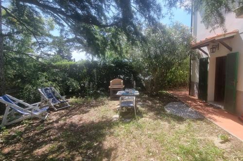 a yard with two lawn chairs and a tree at I GECHI - MARINA DI CAMPO in Marina di Campo