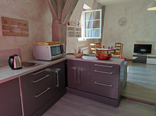 Il comprend une cuisine équipée d'un four micro-ondes et d'un comptoir avec un four micro-ondes. dans l'établissement Studio La Tan'Eure, à Chartres