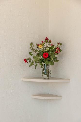 Fotografie z fotogalerie ubytování BED BIANCANEVE Villa v destinaci Villanova di Ostuni