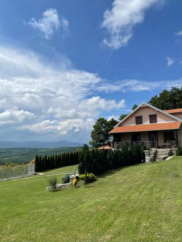 a house on a hill with a green yard at Apartmani Milosavljević in Kuršumlija