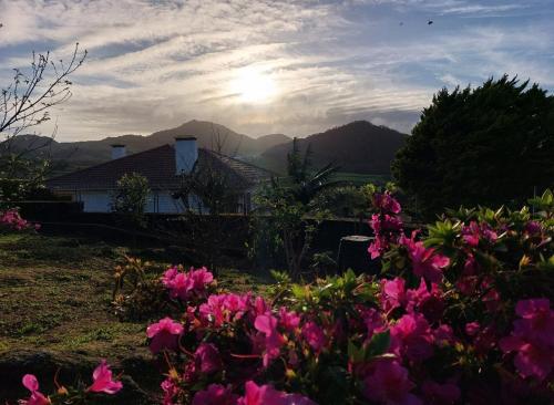 a view of a house with pink flowers in the foreground at Quinta do Sossego-Giestas in Ribeira Grande