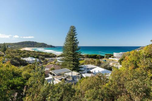 an aerial view of a beach with a tree at Aqua View in Boomerang Beach