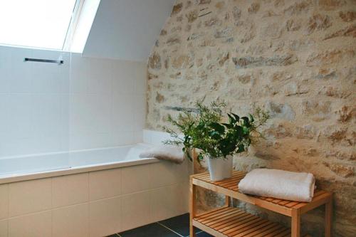 La salle de bains est pourvue d'une baignoire et d'une plante sur une table. dans l'établissement Country House near Térenez Bay and Beaches, à Plougasnou