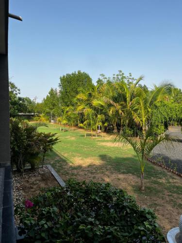 a park with palm trees and a field of grass at Serene stay in the lap of Nature in Ahmedabad