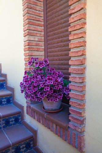 a pot of purple flowers sitting on a brick wall at Alojamiento Nohal in La Iruela