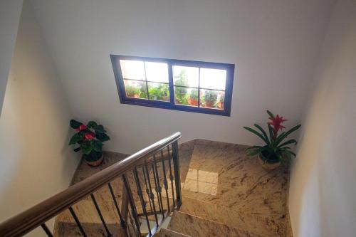 a staircase with two potted plants and a window at Alojamiento Nohal in La Iruela