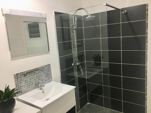 a bathroom with a shower and a sink at Eclat d’oasis in Vieux-Habitants