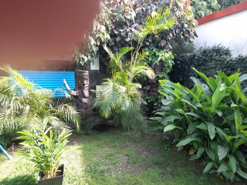 a garden with green plants and a blue garage at Alain in Noumea