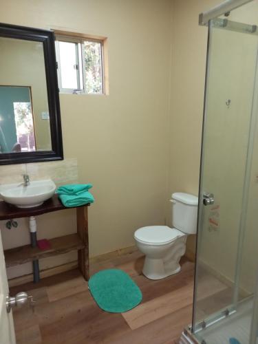 a bathroom with a toilet and a sink and a mirror at El roble cabañas hualle in Pucón