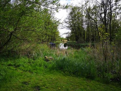 a river in the middle of a field with trees at Villa Eden Peene Tiny House in Gützkow