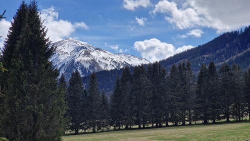 a snow covered mountain in a field with trees at Gemütliches Ferienhaus mit Holzofen und Sauna in Hohentauern