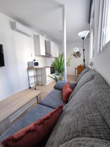 ein Wohnzimmer mit zwei Kissen auf dem Sofa in der Unterkunft Apartamento Delux1 in Valencia