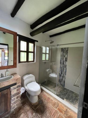 a bathroom with a toilet and a sink and a shower at La Villa de San Sebastian Hotel in Villa de Leyva