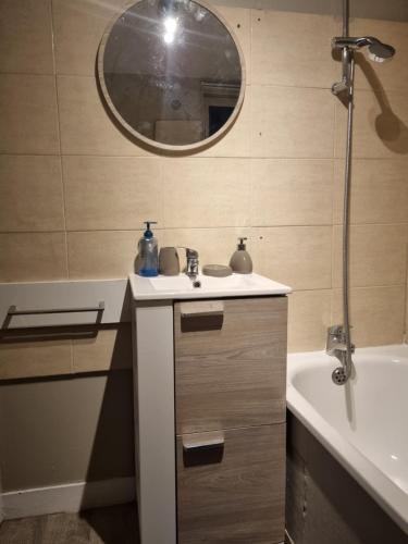 bagno con lavandino, vasca e specchio di Appartement de la Rose a Rouen