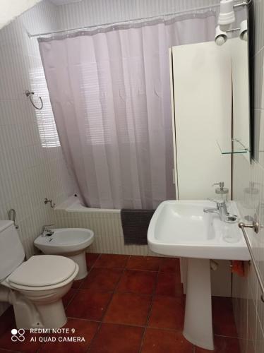 La salle de bains est pourvue de toilettes blanches et d'un lavabo. dans l'établissement Casa Rural Juan, el Zapa, à Letur