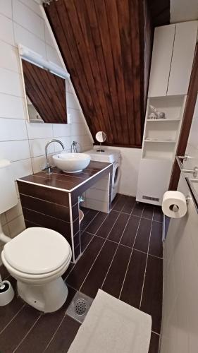 a small bathroom with a toilet and a sink at Apartmani Krapanj in Krapanj