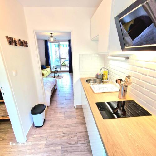 a kitchen with a sink and a counter top at Studio P'ti Boucan in Saint-Gilles les Bains