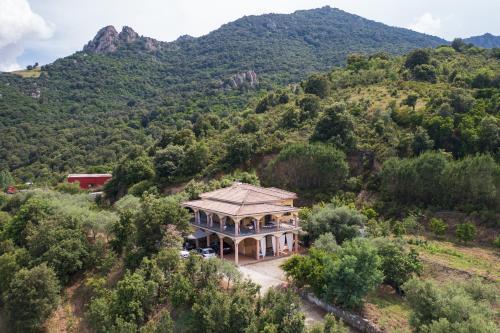 Villa Pelau – Photos 3