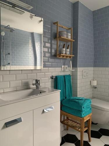 une salle de bain avec un lavabo, des toilettes et un miroir dans l'établissement CosyAttic, à Saint-Louis