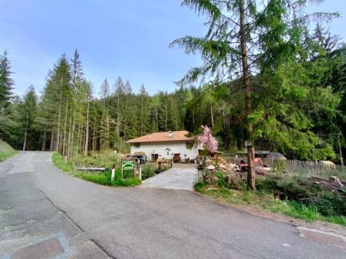 Příroda nedaleko bed and breakfast