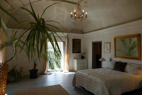 a bedroom with a bed and a large plant at Apartamento Palmera in Argelaguer