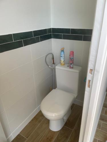 une salle de bain avec des toilettes blanches dans une chambre dans l'établissement Maison 24h du Mans, à Moncé-en-Belin