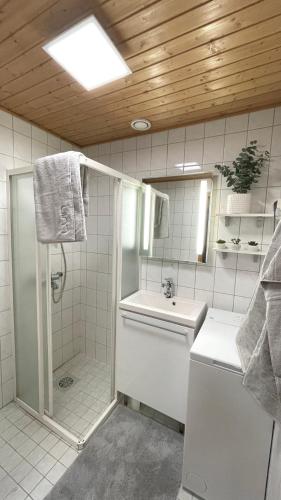 a bathroom with a shower and a toilet and a sink at Nilimukka log cabin near Levi center in Levi