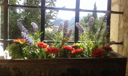 AlbarcaにあるPla del Castell IIの鉢花窓