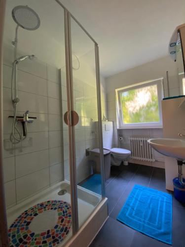 ein Bad mit einer Dusche und einem Waschbecken in der Unterkunft Ferienwohnung Stiefelmühle in Sankt Ingbert