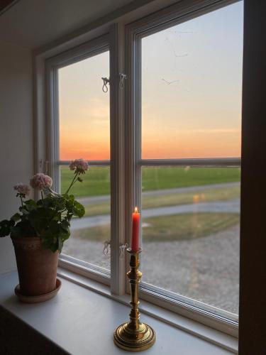 a candle sitting on a window sill next to a plant at Rønhave in Sønderborg
