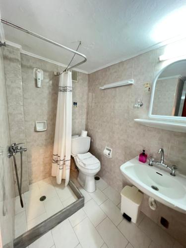 a bathroom with a toilet and a sink at Asterias Hotel - Seafront in Parikia