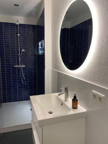 a bathroom with a sink and a mirror and a shower at Redlinburg II in Quedlinburg