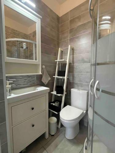 La salle de bains est pourvue de toilettes, d'un lavabo et d'une échelle. dans l'établissement Agréable gîte au coeur du centre ville 4 personnes, à Chagny