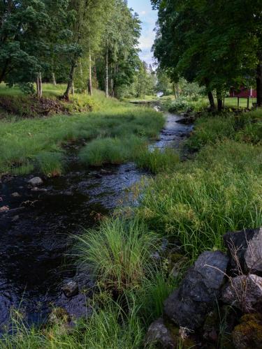a stream in a field with grass and trees at Sikfors Herrgård in Hällefors