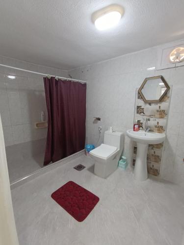 La salle de bains est pourvue d'un lavabo, de toilettes et d'une douche. dans l'établissement Petra downtown house, à Wadi Musa
