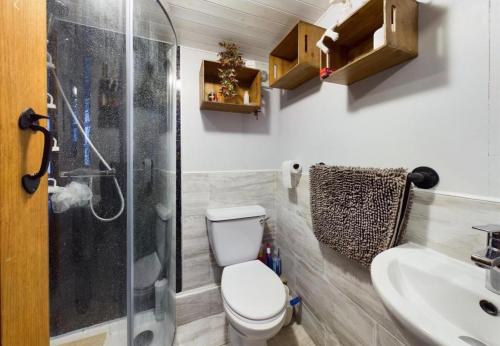 W łazience znajduje się toaleta, prysznic i umywalka. w obiekcie Clematis cabin w mieście Hereford