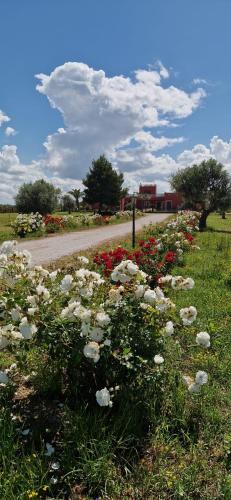 Gallery image of Bed & Breakfast Villa Michela Alezio in Alezio