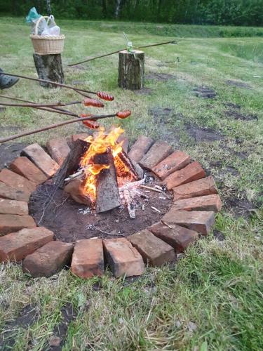 a brick fire pit in a field with flames at Szyszkowy Domek in Milejczyce