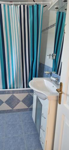 a bathroom with a sink and a shower at Villa family Bitri in Piqeras