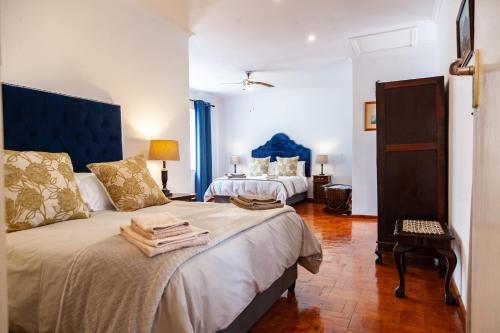 1 dormitorio con 2 camas y cabecero azul en Ayama Manor House, en Wellington