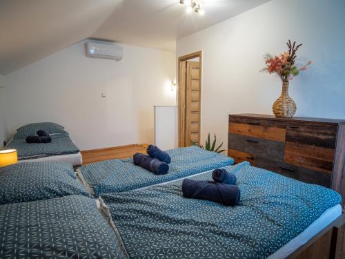 a bedroom with two beds with blue pillows on them at Duna Apartments Štúrovo in Štúrovo