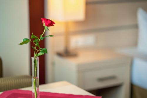 a rose in a vase on a table at AcarA das Penthouse Hotel in Oldenburg