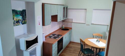Ett kök eller pentry på Apartments Vidoš