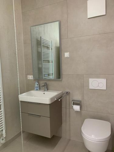 a bathroom with a toilet and a sink and a mirror at Scheier (Ferienwohnungen) in Perl